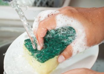 Desarrollarán detergentes ecológicos usando una proteína que produce el páncreas