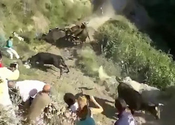 Espectadores son arrollados por una manada de toros durante un festival en España