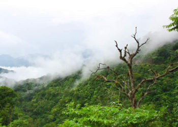 Miércoles de lluvias y tormentas eléctricas