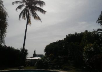 Domingo con pocas lluvias y mucho calor