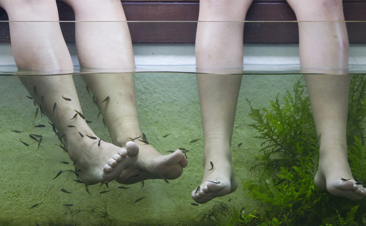 Una mujer pierde los dedos del pie tras una infección ‘comehuesos’ por una pedicura con peces