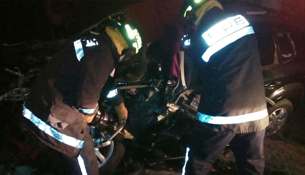 Hombre Muere Al Chocar Su Auto Con Un árbol – Diario La Página