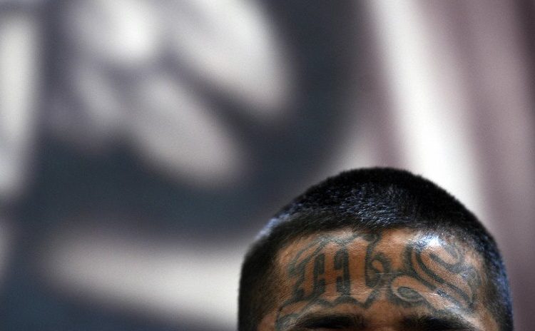 Un presunto miembro de la MS-13 viola a una niña de 11 años en su propio dormitorio