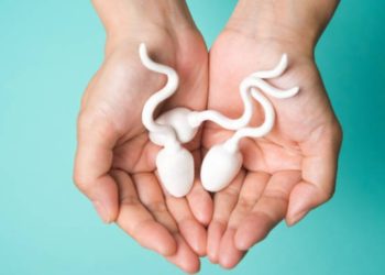 Cinco curiosidades que quizás desconocías sobre el semen
