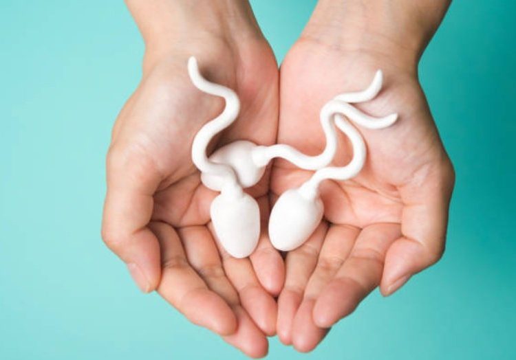 Cinco curiosidades que quizás desconocías sobre el semen