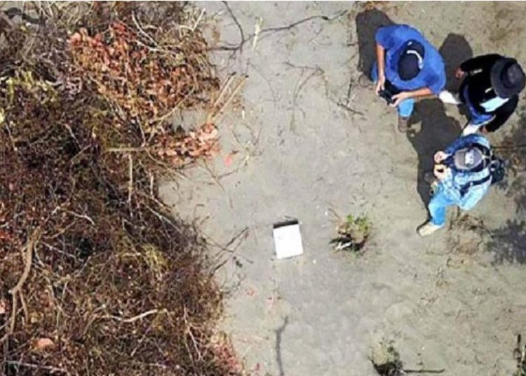 Hallan 166 cráneos humanos en fosas comunes en Veracruz