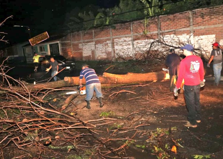 Tormentas en San Miguel causan estragos esta tarde