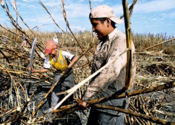 Cañeros reclaman dividendos por producción de energía eléctrica en ingenios