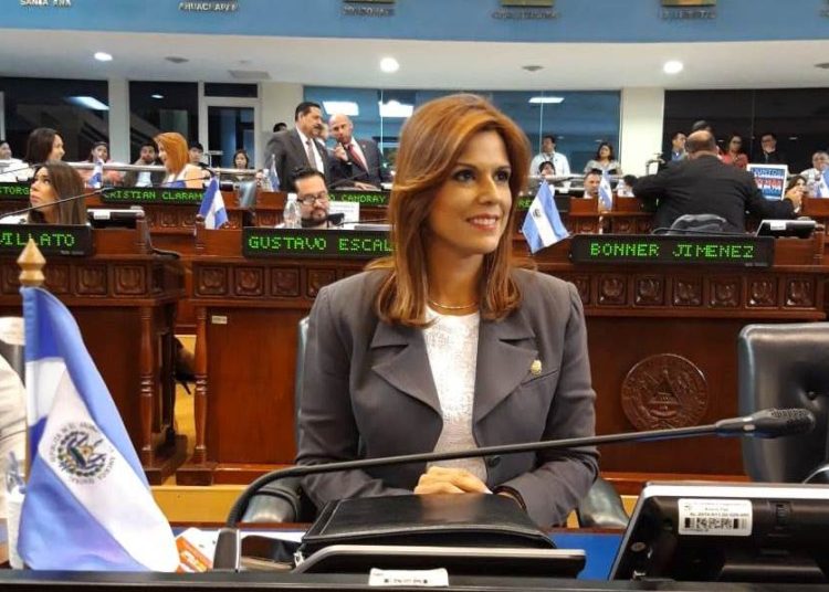 Milena Mayorga busca promover Ley de Prohibición del Plástico