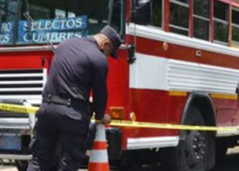 Asesinan a una joven en un bus de la ruta 29 «F»