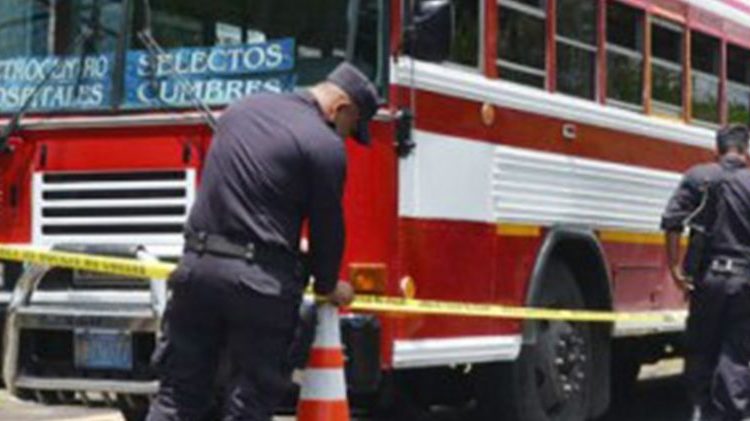 Asesinan a una joven en un bus de la ruta 29 «F»
