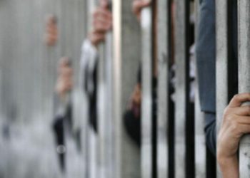 Colombiano y dos ecuatorianos son condenados por traficar 650 kilos de cocaína