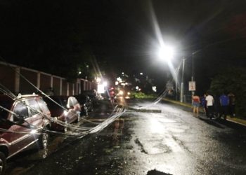 Lluvias de esta noche hacen ceder un árbol y un poste en Antiguo Cuscatlán