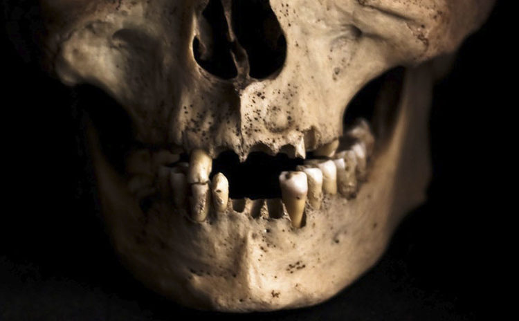 Obreros hallan 1.000 dientes humanos dentro de una pared