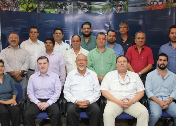 Caficultores salvadoreños participarán en dos ferias mundiales de China