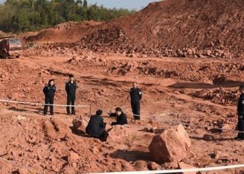 Sorpresa en China: creyeron que eran piedras ovaladas, pero era un nido de huevos de dinosaurio