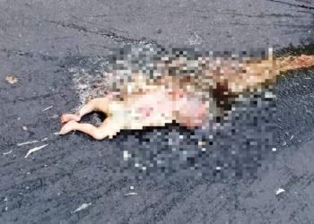 Abandonan cadáver de bebé en cantón Lourdes