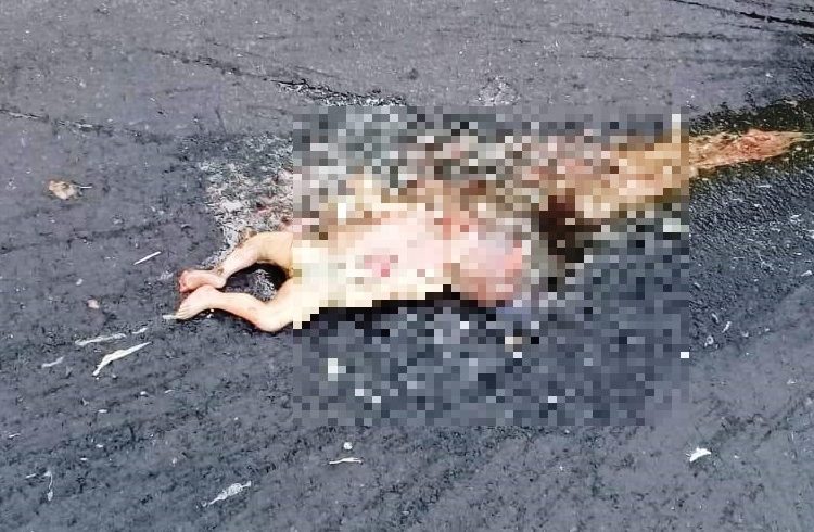 Abandonan cadáver de bebé en cantón Lourdes