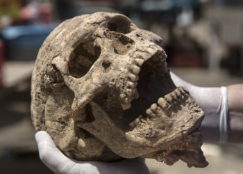 Macabro hallazgo en la Municipalidad de Jerusalén: restos de mujeres y niños decapitados hace 2.000 años