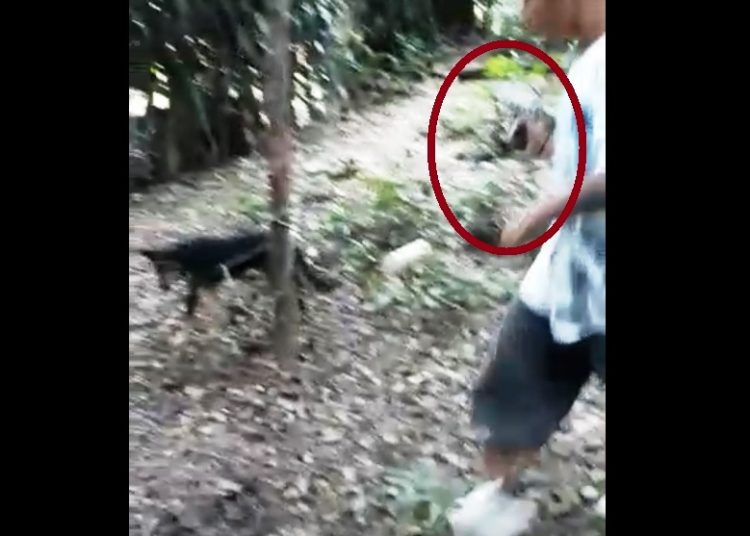 (VÍDEO) Pandilleros amarran a un perro y lo matan a balazos
