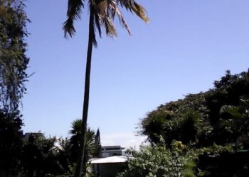 Ambiente caluroso y pocas lluvias para este jueves