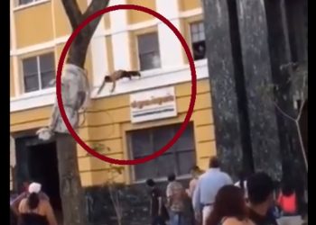 (VÍDEO) Momento en que un hombre se lanza de la segunda planta del edificio del exbanco Salvadoreño