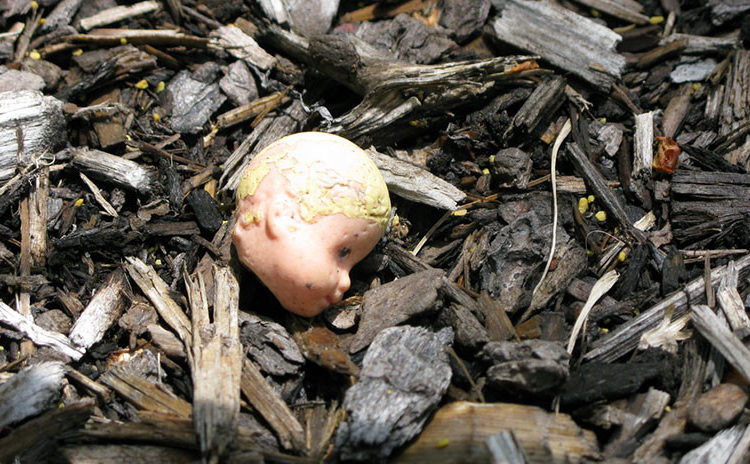 Torturan, decapitan y desmiembran a un bebé en un brutal acto «diabólico»