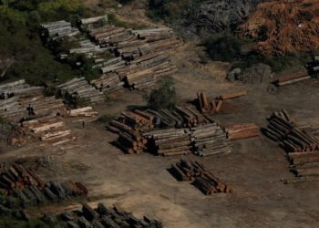 La Amazonia brasileña sufre la peor deforestación en una década