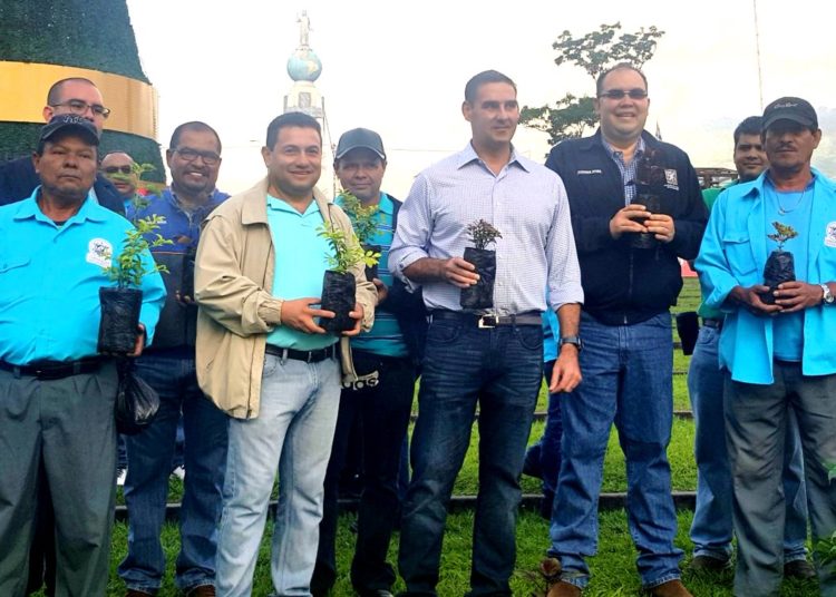 Ernesto Muyshondt confirma que han entregado 300 mil árboles en campañas de reforestación