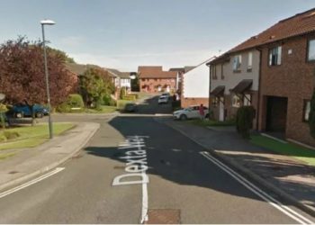 Fueron a limpiar la casa de su madre fallecida y hallaron una caja con una macabra sorpresa