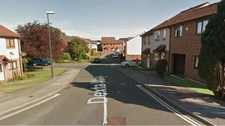 Fueron a limpiar la casa de su madre fallecida y hallaron una caja con una macabra sorpresa