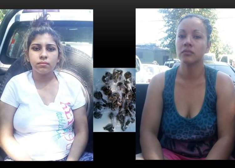La PNC capturó a dos mujeres por extorsión y narcotráfico