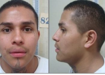 Jean Manes felicita a PNC por la captura del cabecilla de la MS-13 Blue de Ganster