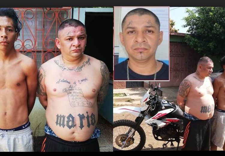 Capturan a “ramflero” de la MS en Santa Ana