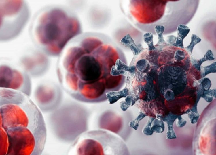 Monosacárido presente en frutas retrasa crecimiento de tumores