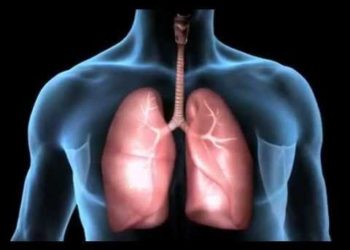 Pulmones impresos en 3D para transplantes: un invento israelí que se comercializará en el mundo
