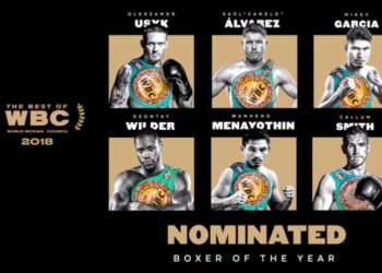 Ring y el Consejo Mundial de Boxeo escogen a los nominados a lo más destacado del boxeo en 2018