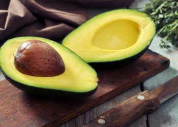 Restaurantes de Irlanda llaman a no comprar aguacates producidos en México