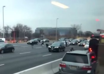 Lluvia de billetes en autopista EEUU provoca dos choques