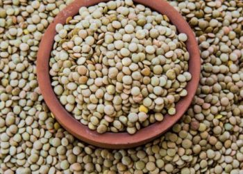 ¿Por qué se comen lentejas en Año Nuevo?