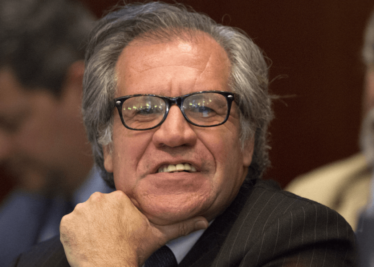 Luis Almagro informa que buscará la reelección como secretario general de la OEA