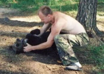 Ruso fue devorado por un oso que crió como mascota durante 4 años