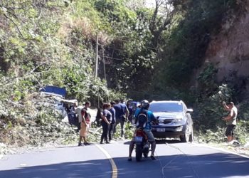 Fuertes vientos provocan caída de árboles en distintos puntos del país