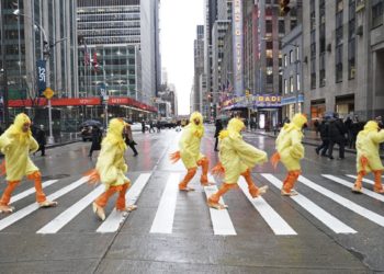 El curioso retorno de los Backstreet Boys vestidos de patos