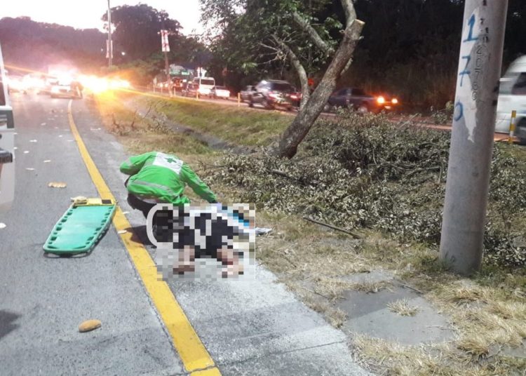 Vendedora de pan muere atropellada en carretera a Comalapa