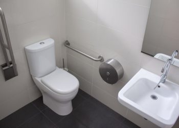 Las letrinas operadas por lombrices, un proyecto para cambiar la situación sanitaria de la India