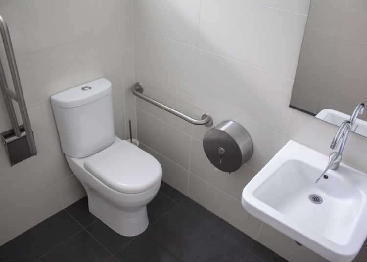 Las letrinas operadas por lombrices, un proyecto para cambiar la situación sanitaria de la India