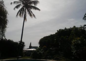 Reportan temblores en El Salvador y Nicaragua