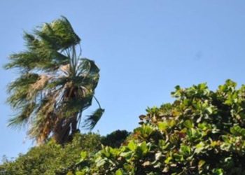 ¿Cuáles son las condiciones climáticas para este domingo? Conozca aquí