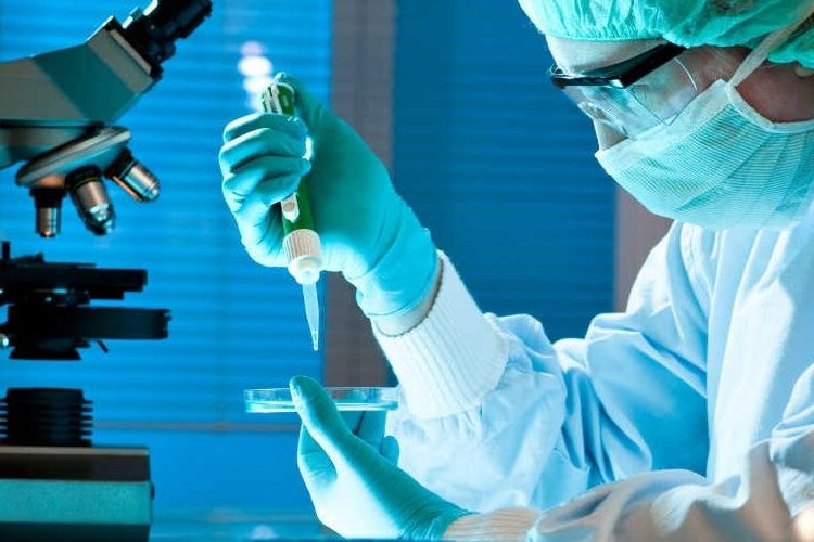 Científicos israelíes afirman haber hallado la cura para el cáncer